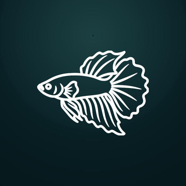 Betta