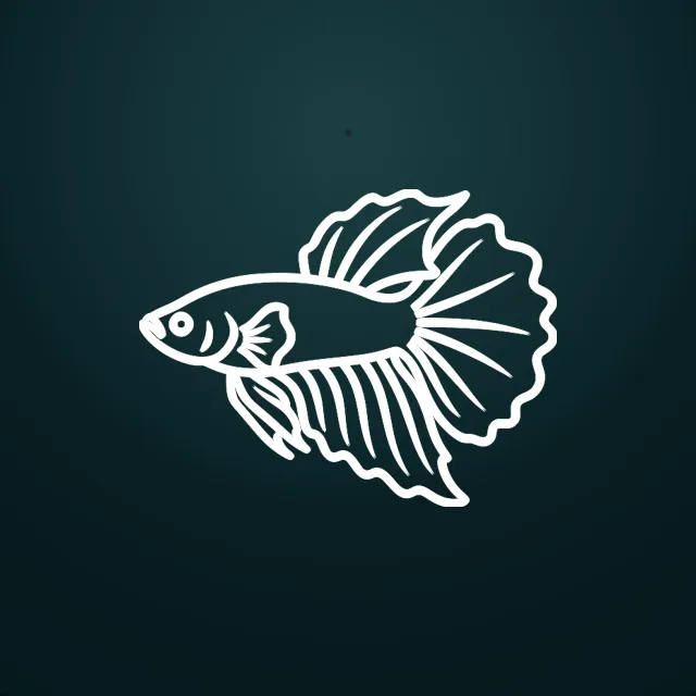 Betta