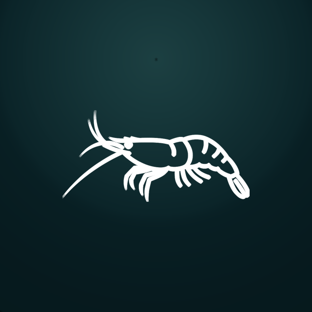 Cherry shrimp