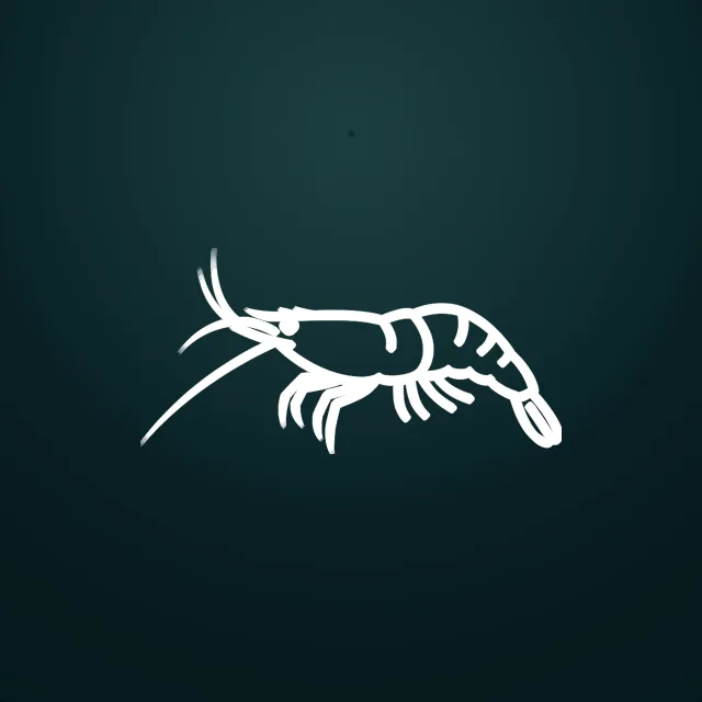Cherry shrimp